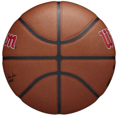 4. Piłka Wilson Team Alliance Toronto Raptors Ball WTB3100XBTOR
