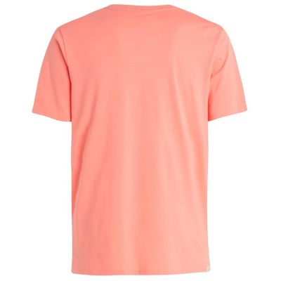 3. Koszulka męska Protest PRTAHAIRD t-shirt