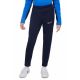 Spodnie Nike Dri-FIT Academy 23 Jr DR1676-451