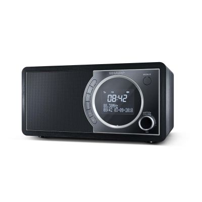 6. Osobisty cyfrowy czarny radio Sharp DR-450, stal nierdzewna