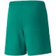 4. Spodenki Puma teamLIGA Shorts Jr 704931 05