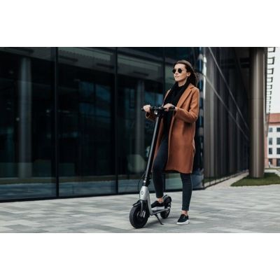 4. Hulajnoga Scooter Plus JSP-120-0