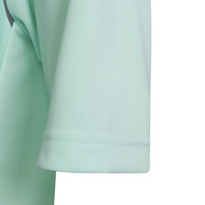 5. Koszulka adidas Entrada 22 Graphic Jersey Jr HF0127