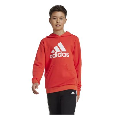 2. Bluza adidas Big Logo Hoodie Jr IX9531