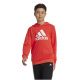 2. Bluza adidas Big Logo Hoodie Jr IX9531
