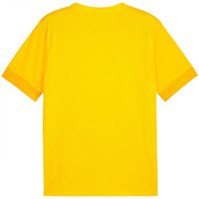 2. Koszulka Puma teamGoal Matchday Jersey M 705747 07