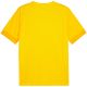 2. Koszulka Puma teamGoal Matchday Jersey M 705747 07