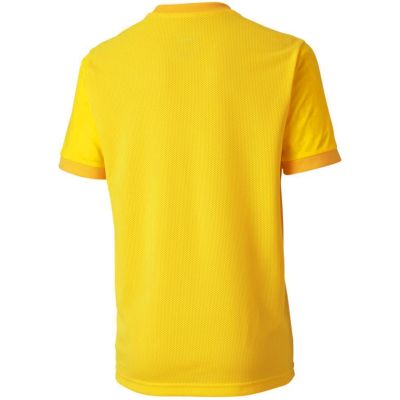 6. Koszulka Puma teamGOAL 23 Jersey Jr 704160 07