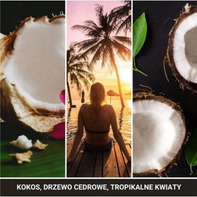 Zawieszka samochodowa BLACK COCONUT YANKEE