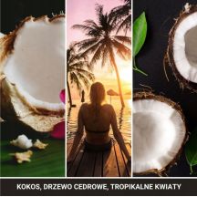 Zawieszka samochodowa BLACK COCONUT YANKEE