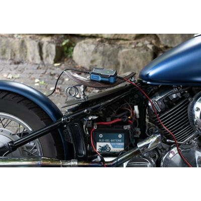 8. Ansmann 1001-0142 pojazd ładowarki 6 - 12 V Czarny