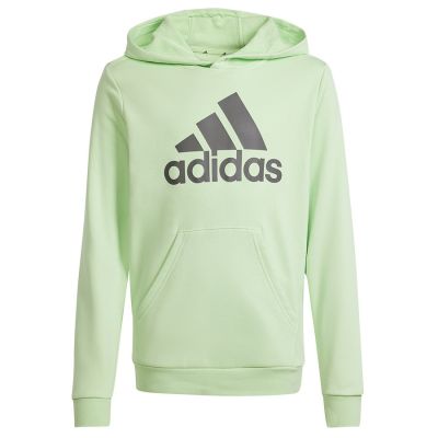 4. Bluza adidas Big Logo Hoodie Jr IS2591