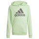 4. Bluza adidas Big Logo Hoodie Jr IS2591