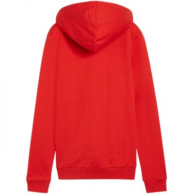 2. Bluza Puma Team Goal Casuals Hoody W 658621 01