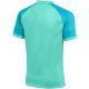 2. Koszulka męska Nike Dri-FIT Trophy VI turkusowa HV8151 354
