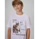 3. T-shirt regular z nadrukiem chłopięcy 4F 4FJKAW26TTSHM4452-10S