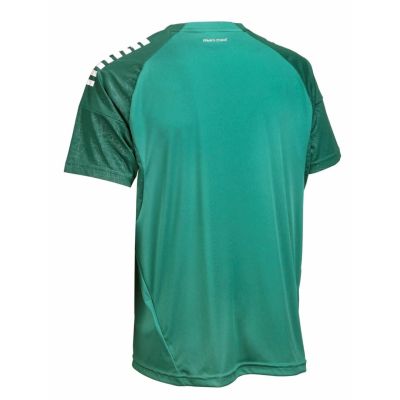 2. Koszulka piłkarska SELECT Spain v25 zielona