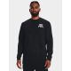 3. Bluza Under Armour M 1379764-001