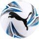 2. Piłka nożna Puma Cat Ball 0832920 2