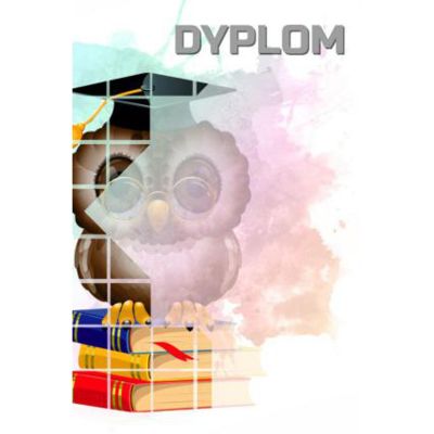 10. Dyplom papierowy - sowa (25 szt.) DYP157