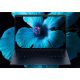5. HP EliteBook X G1i 14 inch Notebook Next Gen AI PC Copilot+ PC Intel Core Ultra 7 258V Laptop 35,6 cm (14") 2K 32 GB LPDDR5x-SDRAM 1 TB SSD Wi-Fi 7 (802.11be) Windows 11 Pro Niebieski