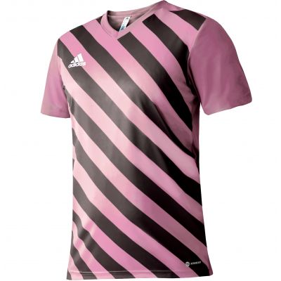 2. Koszulka adidas Entrada 22 Graphic Jersey M HC2633