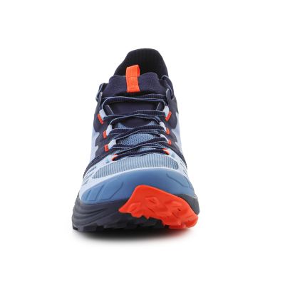 2. Pomidor koktajlowy Levante Moonlight