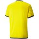 2. Koszulka Puma teamLIGA Jersey M 704917 07