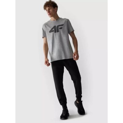 5. Koszulka 4F M 4FAW23TTSHM0877-27M