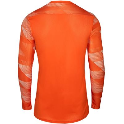 3. Koszulka Nike Dry Park IV JSY LS GK Jr CJ6072-819