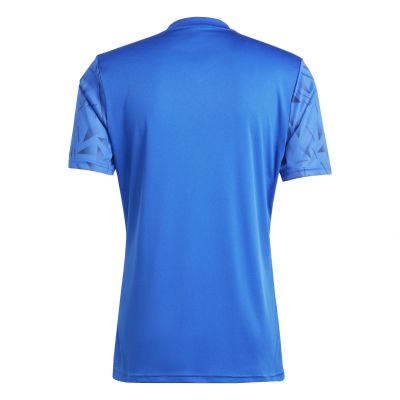 2. Koszulka adidas Team Icon 25 M JG3550