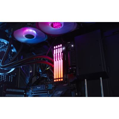 9. KINGSTON DDR5 32GB 6000MT/s CL36 DIMM (Kit of 2) FURY Beast RGB EXPO