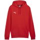 5. Bluza Puma Team Goal Casuals Hoody M 658618 01