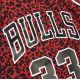 3. Koszulka Mitchell & Ness NBA Chicago Bulls Scottie Pippen Jersey Swingman