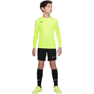 Koszulka Nike Dry Park IV JSY LS GK Jr CJ6072-702