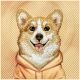 6. Etui Nimmy Gentle Pets Series Dog MagSafe na iPhone 17 Pro - pomarańczowe