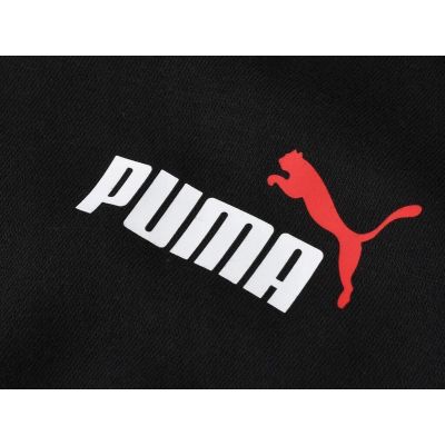 14. Bluza Puma Ess M 679633 01
