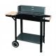 MASTER GRILL PROSTOKĄTNY   MG909
