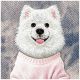 6. Etui Nimmy Gentle Pets Series Dog MagSafe na iPhone 17 Pro Max - różowe
