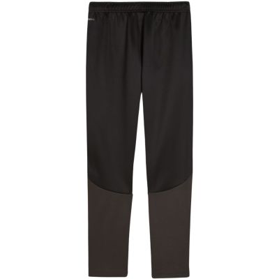 Spodnie dla dzieci Puma Team Goal Training czarne 658641 03