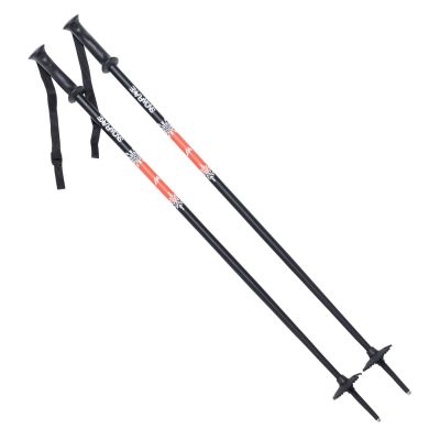 Dziecięce Kije SNOWFLAKE JR