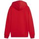 2. Bluza Puma Team Goal Casuals Hoddy Jr 658619 01
