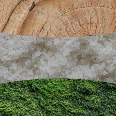 4. Świeca elipsa WHITE TEAK WOODWICK
