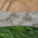 4. Świeca elipsa WHITE TEAK WOODWICK