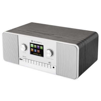 8. GoGen IR 257 BTDAB Internet Cyfrowy Srebrny