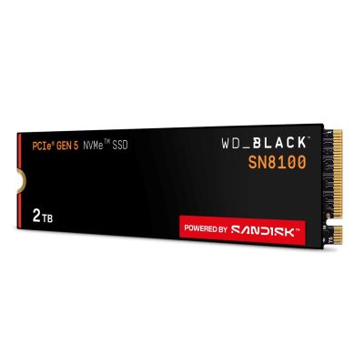 6. SSD WD Black SN8100 w/o HS 2TB WDS200T1X0M