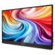 12. Acer PM161QB1bmiuux Przenośny monitor Czarny 39,6 cm (15.6") 1920 x 1080 px
