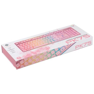 4. Deltaco Gaming GAM-021-RGB-P-DE klawiatura USB QWERTZ Niemiecki Różowy