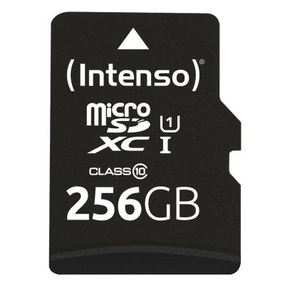 2. Intenso microSD 256GB UHS-I Perf CL10| Performance Klasa 10