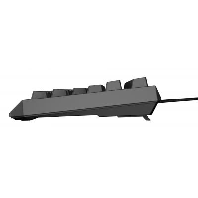 11. GENESIS Thor 230 TKL klawiatura Gaming USB QWERTY US English Czarny